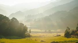 Vue de la campagne pour illustrer l'investissement en zone rurale