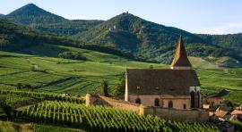 Photo d'un village au milieu d'un vignoble pour investir