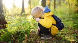 Enfant dans une forêt regardant des plantes à la loupe illustrant un investissement forestier 