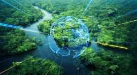 Vue aérienne d'une forêt illustrant un investissement responsable