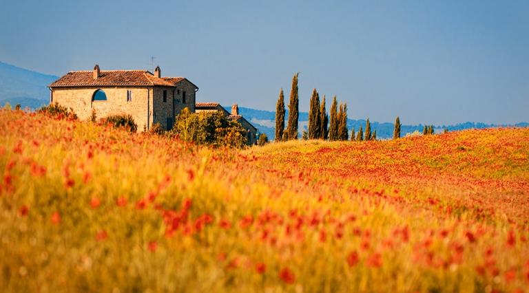 Photo d'une maison au milieu d'un champ de coquelicots