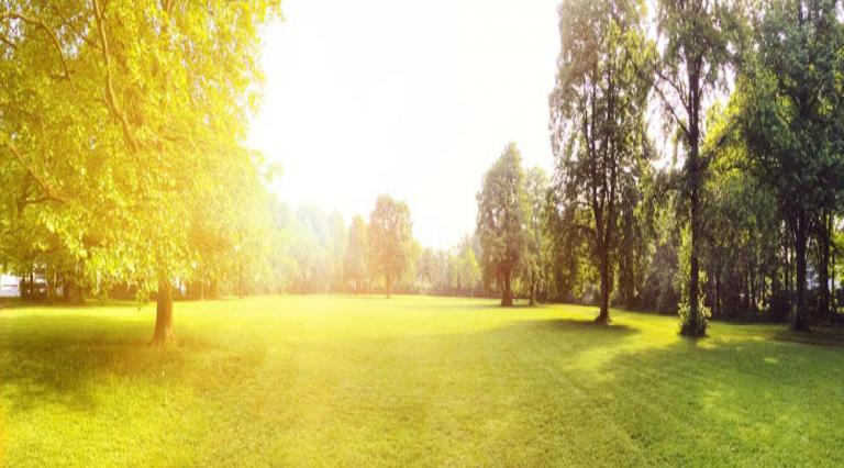 Vue extérieure avec pelouse et arbres pour illustrer l'investissement dans un terrain constructible