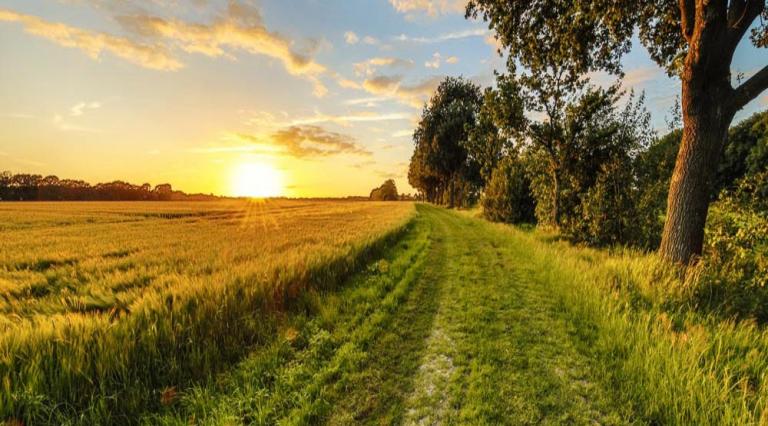 Vue d'un champ avec un coucher de soleil pour illustrer l'investissement en campagne