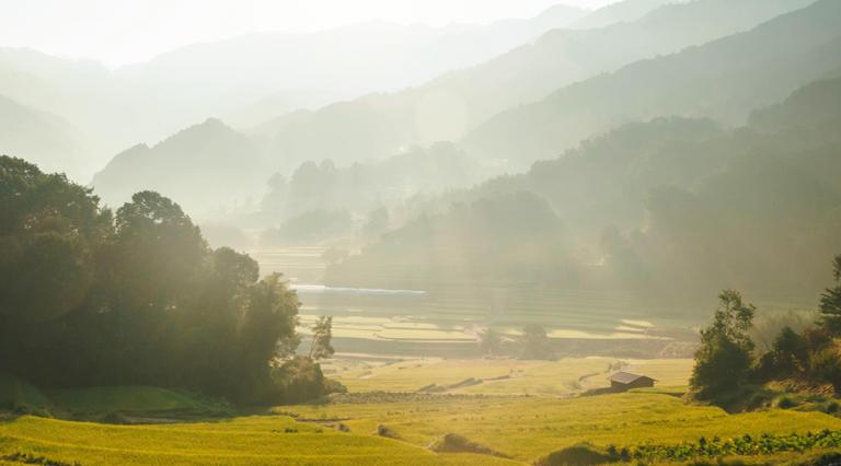 Vue de la campagne pour illustrer l'investissement en zone rurale