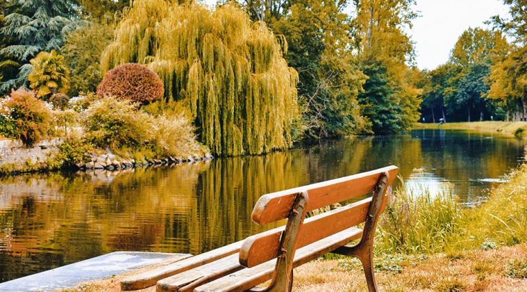 Photo d'un banc au bord d'une rivière