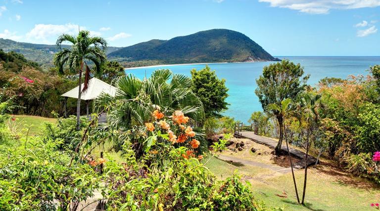 Vue d'une baie en Guadeloupe