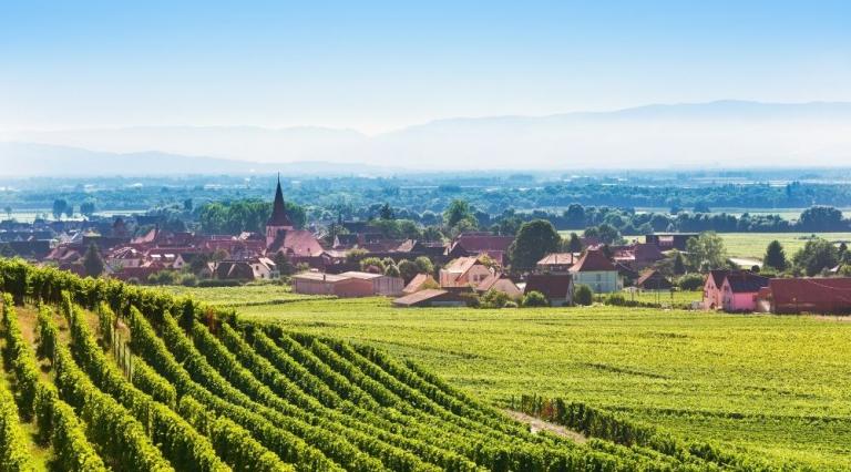 Vue de la campagne du Haut-Rhin