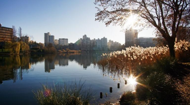 vue du lac de Créteil pour illustrer la vitalité d'une investissement en loi Pinel dans le val de marne