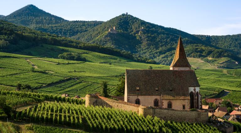 Photo d'un village au milieu d'un vignoble pour investir