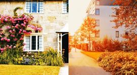 maison ancienne vs immeuble neuf