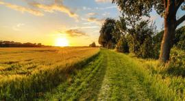 Vue d'un champ avec un coucher de soleil pour illustrer l'investissement en campagne