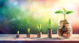 Tas de pièces de monnaie avec une plante qui pousse dessus illustrant le depot a terme