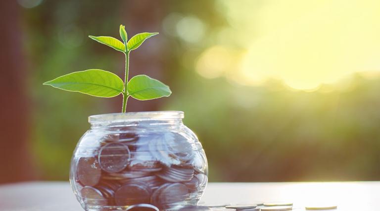 Pot avec des pièces de monnaie et plante qui pousse illustrant l investissement immobilier