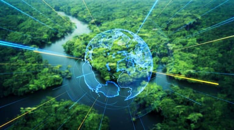 Vue aérienne d'une forêt illustrant un investissement responsable