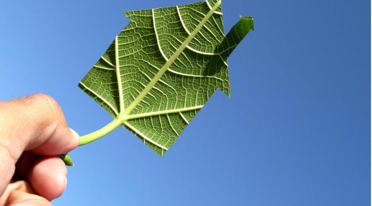 Main tenant une feuille d arbre decoupee en forme de maison illustrant l investissement responsable
