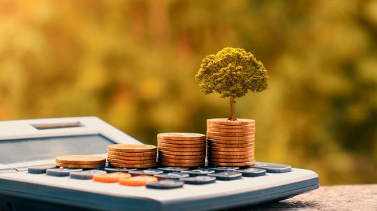 Pièces de monnaie posée sur une calculatrice avec un arbre qui pousse dessus