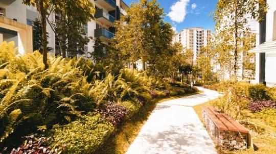 allée fleurie dans une résidence de logements neufs
