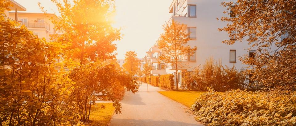 Photo d'une rue entourée d'arbres